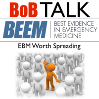 Best of BEEM (BoB) Talk SRPC 2014