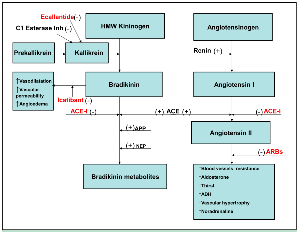 does ace inhibitor increase potassium