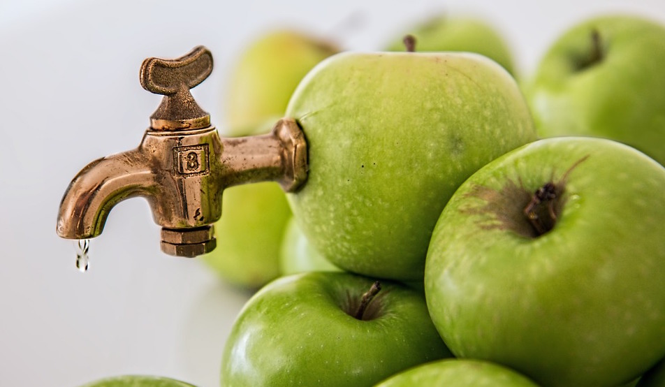 SGEM158 Tempted by the Fruit of Another Dilute Apple Juice for