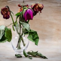 SGEM#189: Bring Me To Life in OHCA