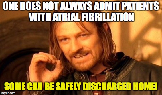 SGEM Memes #222