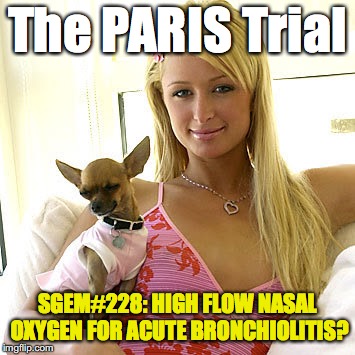 SGEM Memes #228