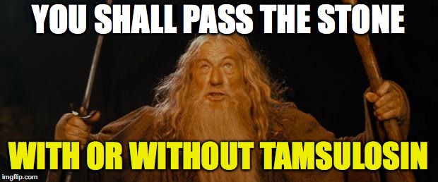 SGEM Memes #230