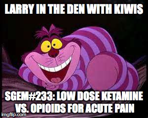 SGEM Memes #233