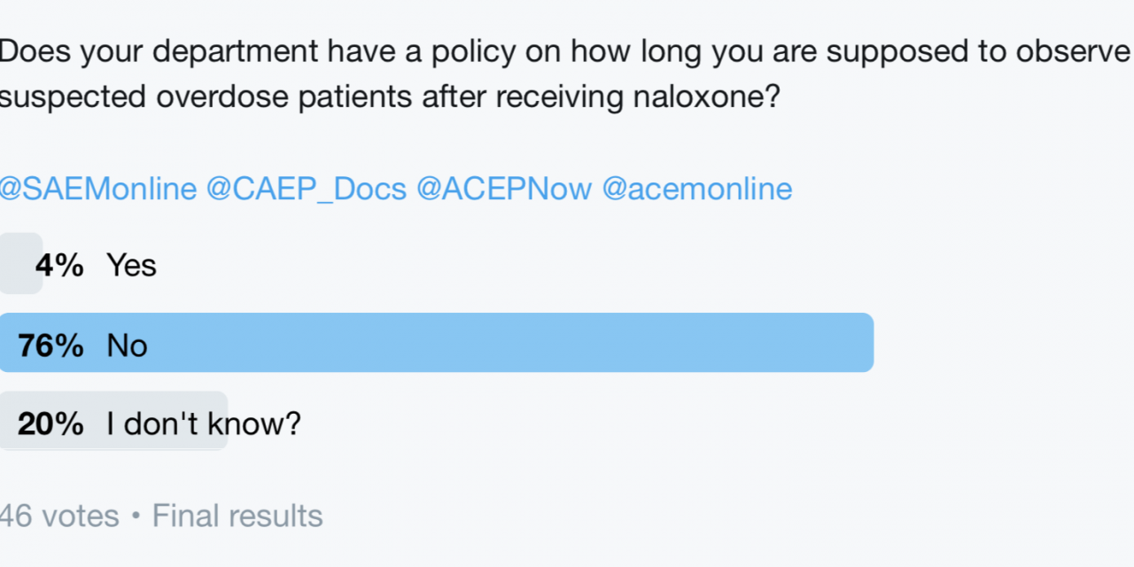 SGEM Twitter Poll #241b