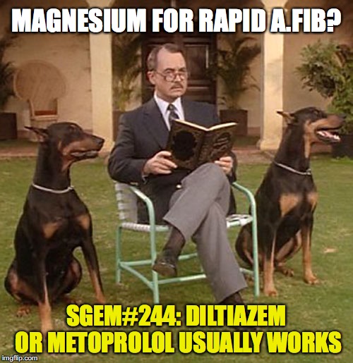 SGEM Memes #244