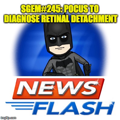 SGEM Memes #245