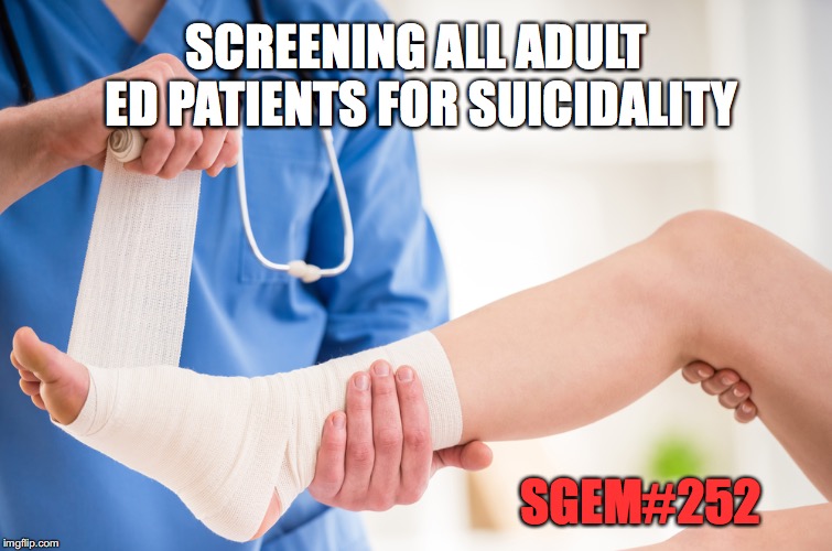 SGEM Memes #252