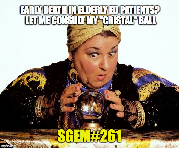 SGEM Memes #261