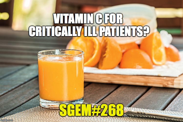 SGEM Memes #268