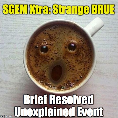 SGEM Memes BRUE
