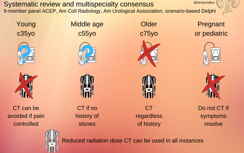 SGEM Paper in a Pic Xtra: Renal Colic Imaging