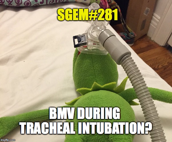 SGEM Memes #281