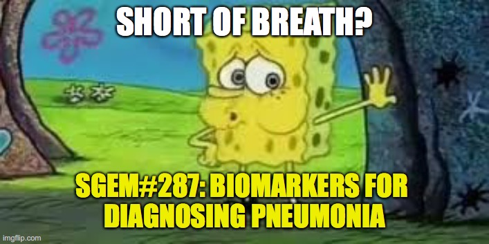 SGEM Memes #287