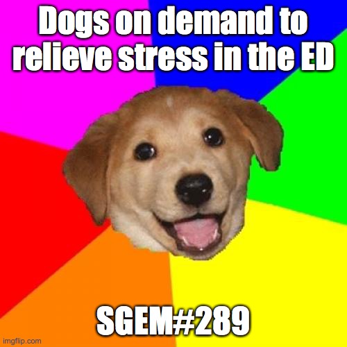 SGEM Memes #289