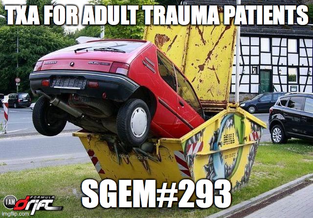 SGEM Memes #293