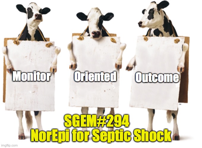 SGEM Memes #294